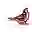 Cardinal Expo logo