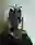 +2348166580486 #I want to join ritual money Occult in Sweden 