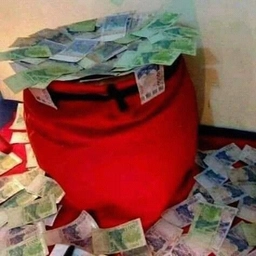 Waynestock Outdoor Adventure & Music Festival