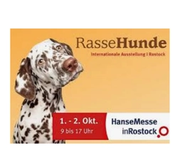 INTERNATIONALE RASSEHUNDE-AUSSTELLUNG - LINGEN