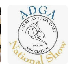 ADGA NATIONAL SHOW