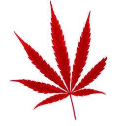 O’Cannabiz Conference and Expo