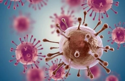 Global Summit On Cancer Research & Therapy