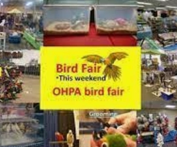 OHPA Bird Fairs