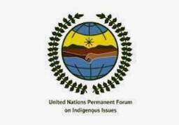 United Nations Permanent Forum on Indigenous Issues