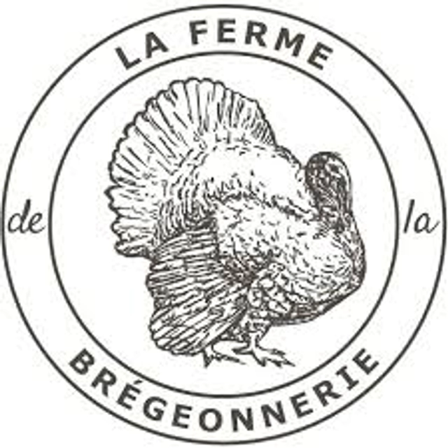 Turkey Day 2024