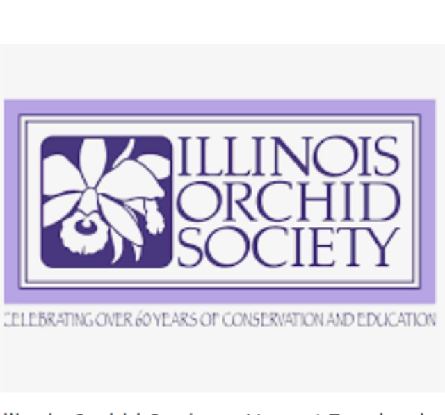 Illinois Orchid Society Spring Show & Sale