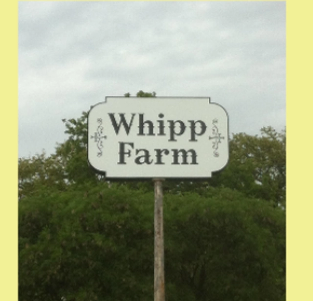 Whipp Farm's Glen Rose Gun Show