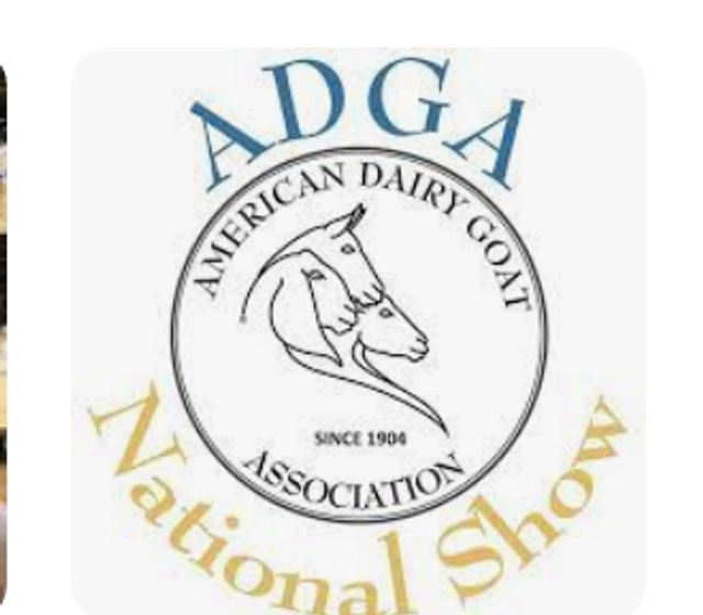 ADGA NATIONAL SHOW 2025