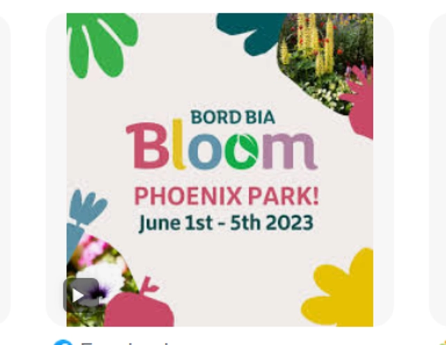Bord Bia Bloom