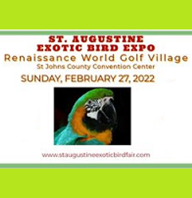 St Augustine Exotic Bird Fair 2025