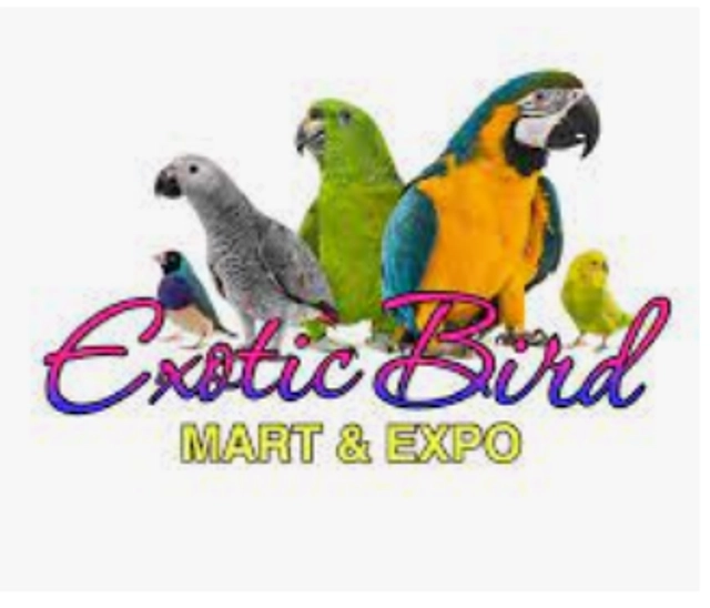 Exotic Bird Mart Pomona