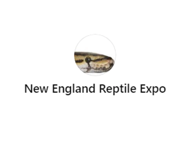 New England Reptile Expo