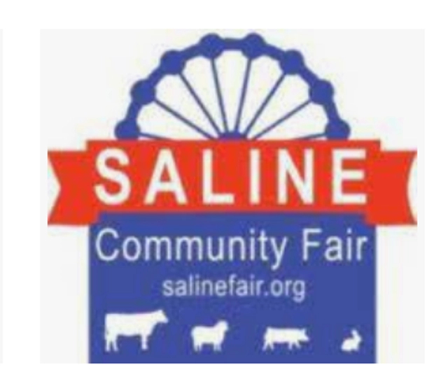 Saline Community Fair 2025