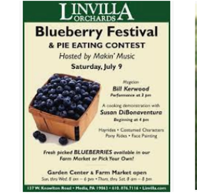 Bridgerton Blueberry Festival 2025 Adara Annnora