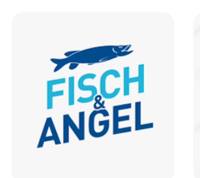 FISCH & ANGEL