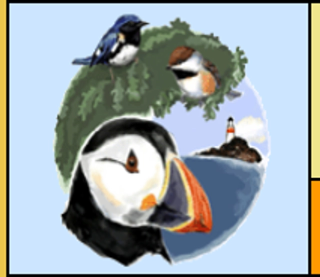 Acadia Birding Festival