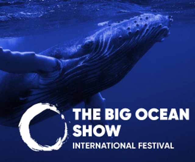 The Big Ocean Show