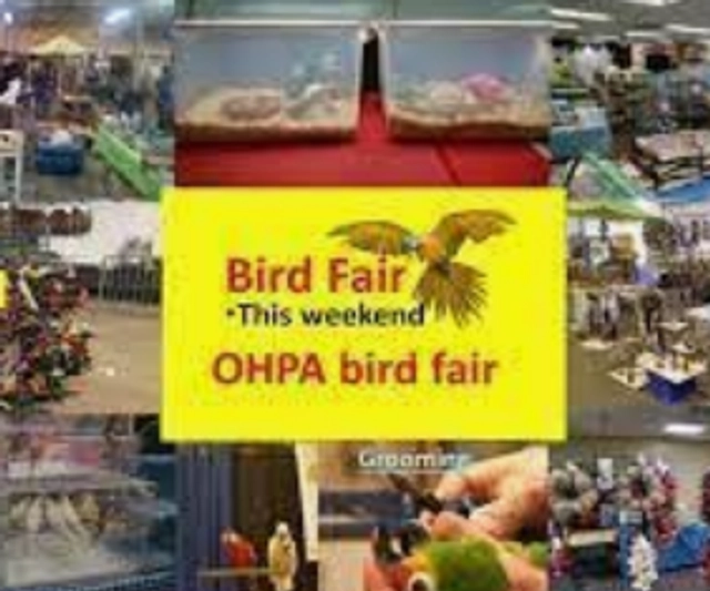 OHPA Bird Fairs 2025