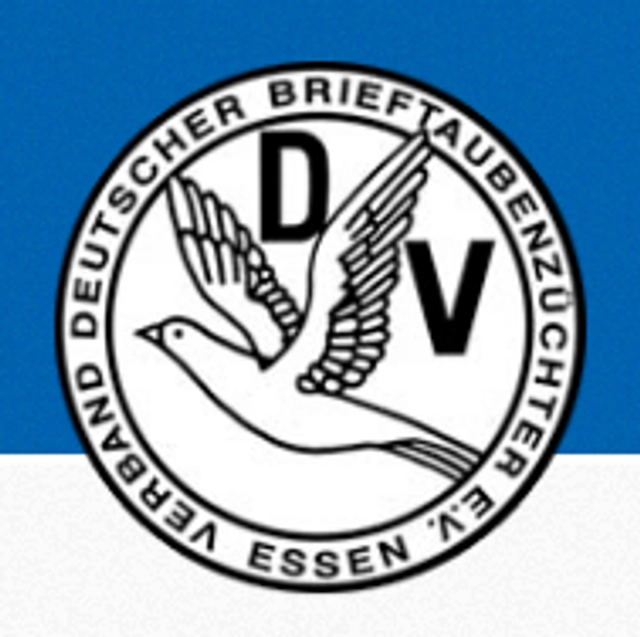 Internationale Brieftauben-Ausstellung 2026