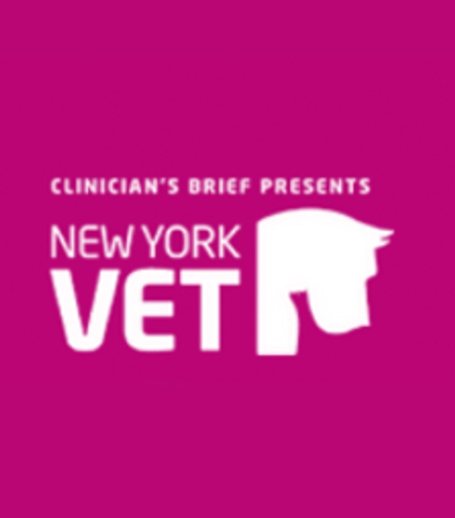 New York Vet