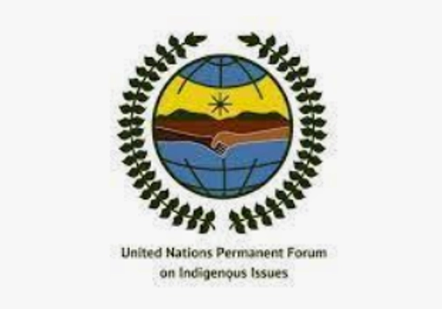 United Nations Permanent Forum on Indigenous Issues