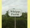 Whipp Farm's Burleson Gun Show