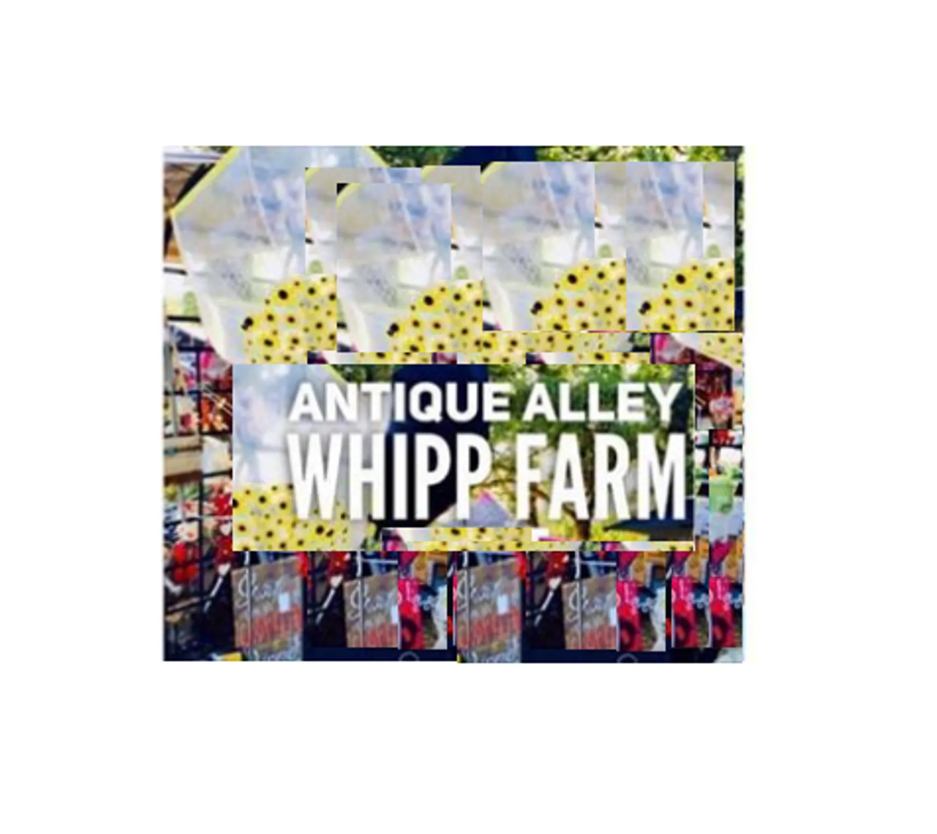 ANTIQUE ALLEY AT WHIPP FARM 2025