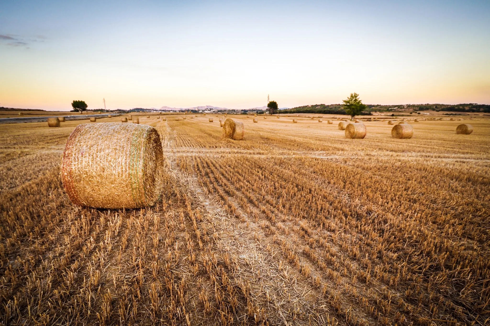 Top 10 of the largest agriculture and farming shows and fairs in the world