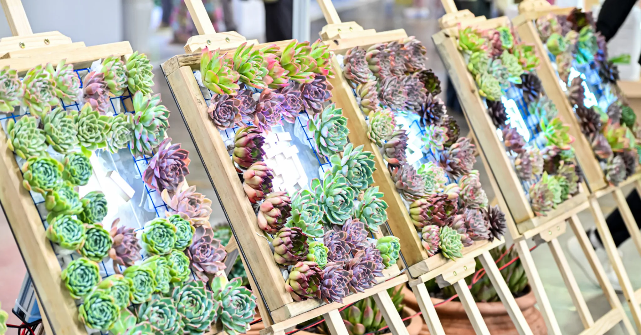 The 23rd Kunming International Flower Expo of China & IFEX Kunming International Flowers & Plants Expo