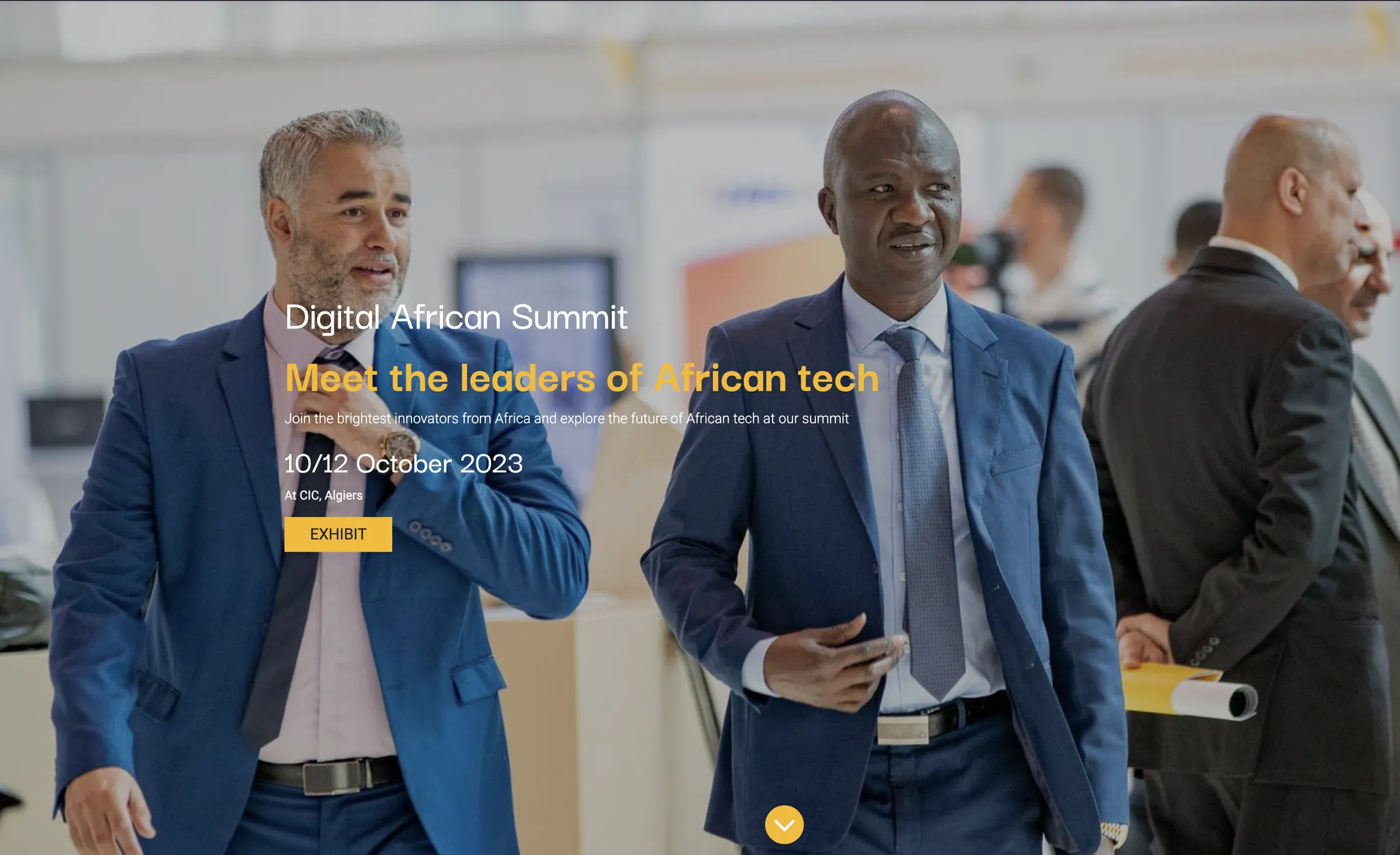 Digital African Summit