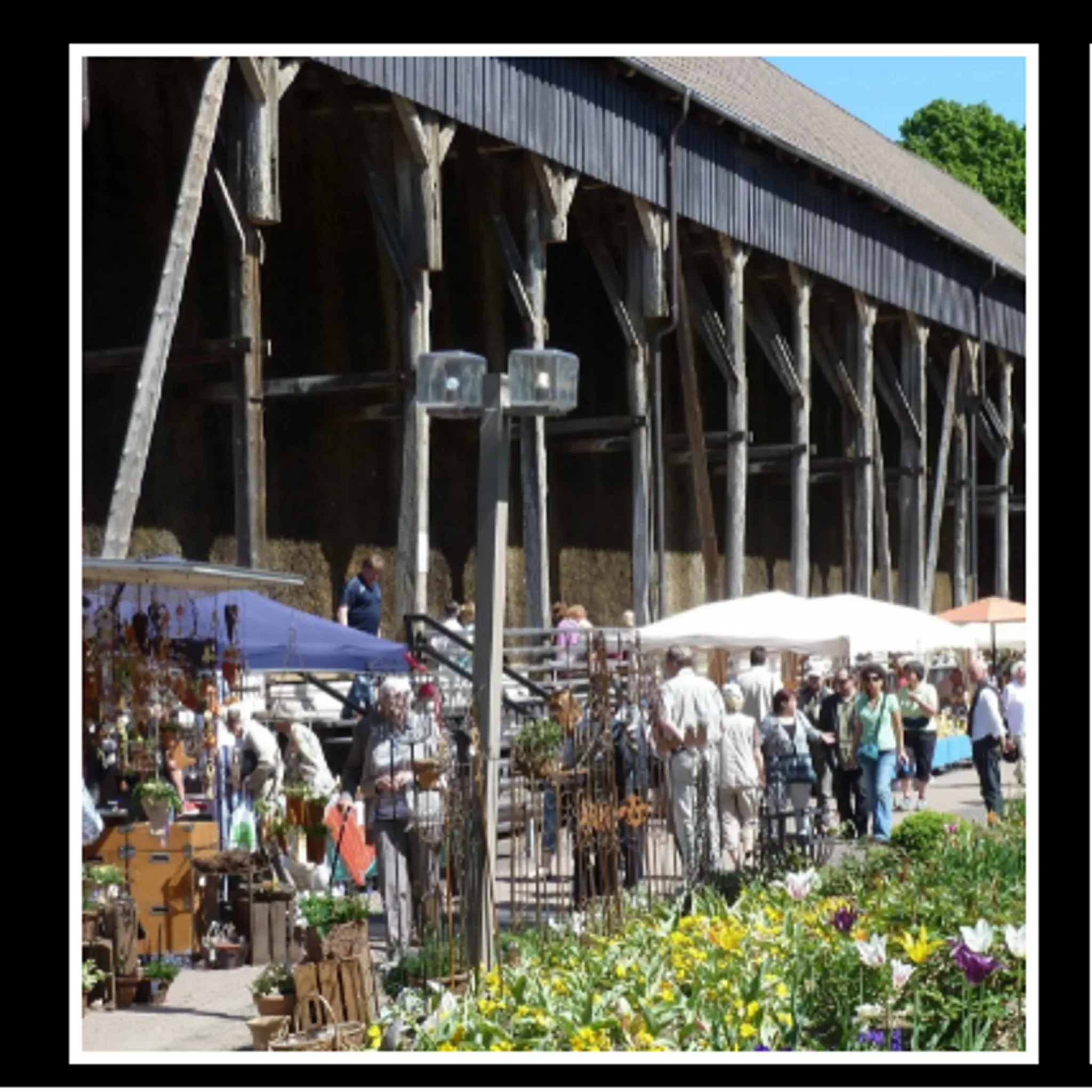Garden and Wellness Festival Bad Salzdetfurth