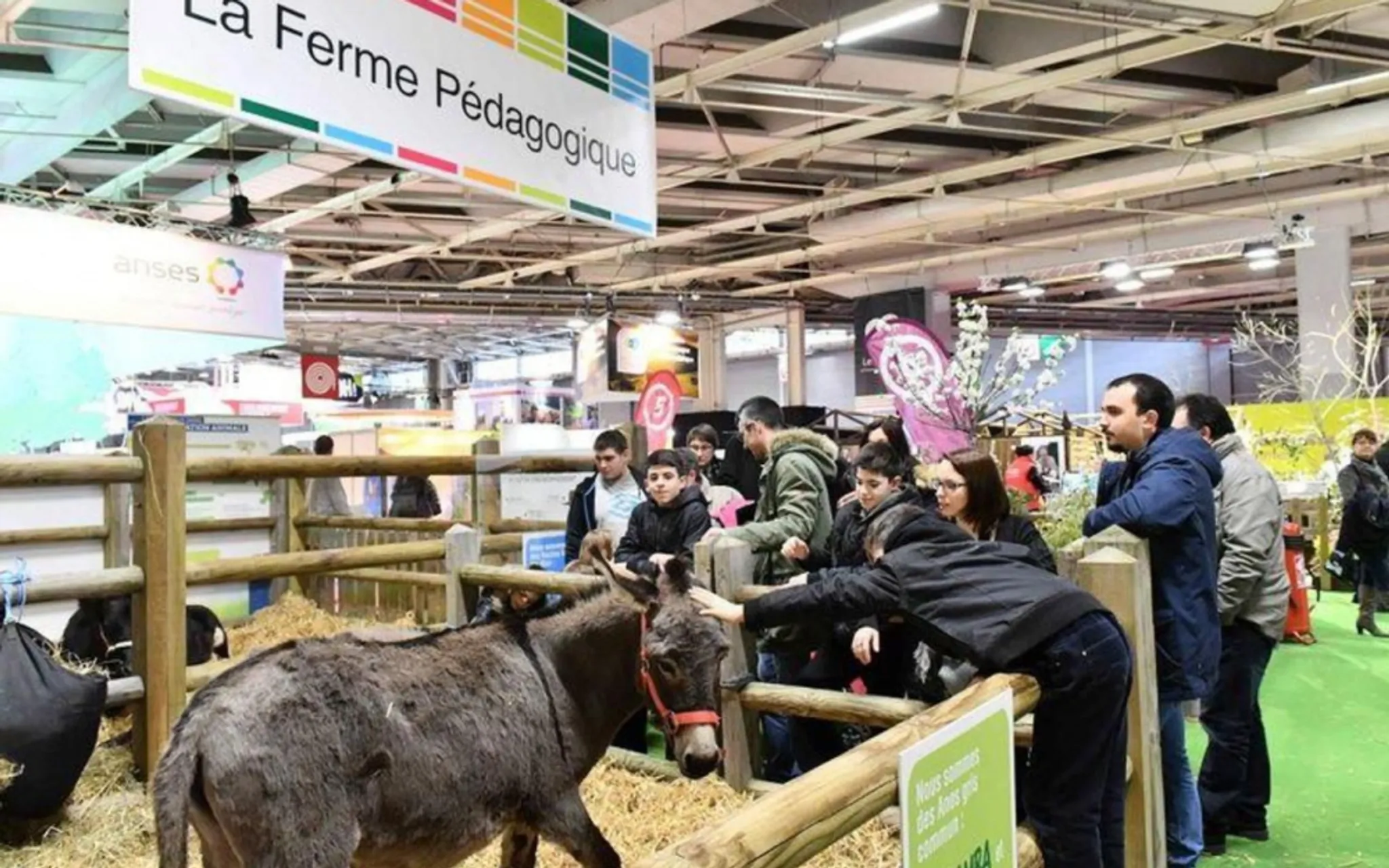 Salon International De L'Agriculture