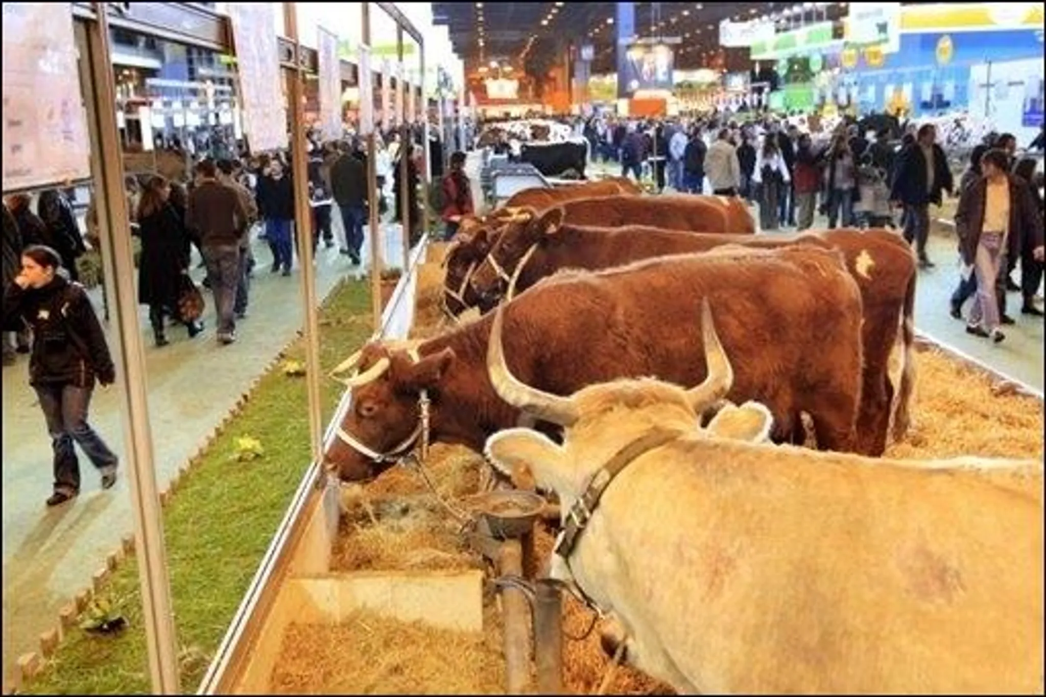 Salon International De L'Agriculture