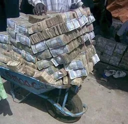 Waynestock Outdoor Adventure & Music Festival