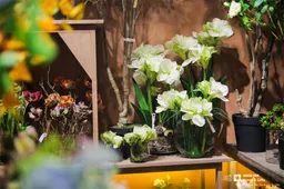 The 53rd Jinhan Fair for Home & Gifts