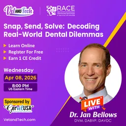 Snap, Send, Solve: Decoding Real-World Dental Dilemmas