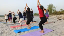 Explore Your Inner Teacher: A Guide to 100 Hour, 300 Hour & Yin Yoga Teacher Trainings