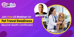 Health Certificates Are Not Enough: What Veterinary Teams Need to Know About Pet Travel Readiness