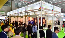 Dental South China