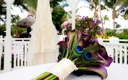 Miami Romance Wedding Showcase