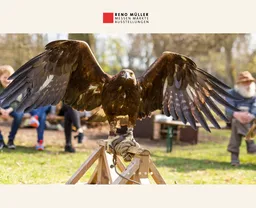 Grafenberg Country Tour