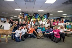 The Family Pet Show