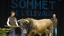 Sommet de l'Élevage
