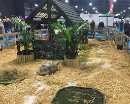 The Family Pet Show