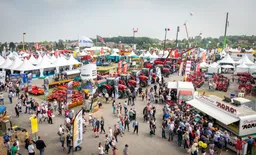 TERRES EN FETE
