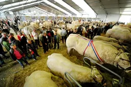 Sommet de l'Élevage