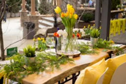 INDIANA FLOWER + PATIO SHOW