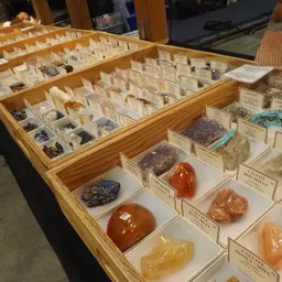 OLMC Gem and Mineral Show