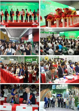 IE expo Guangzhou